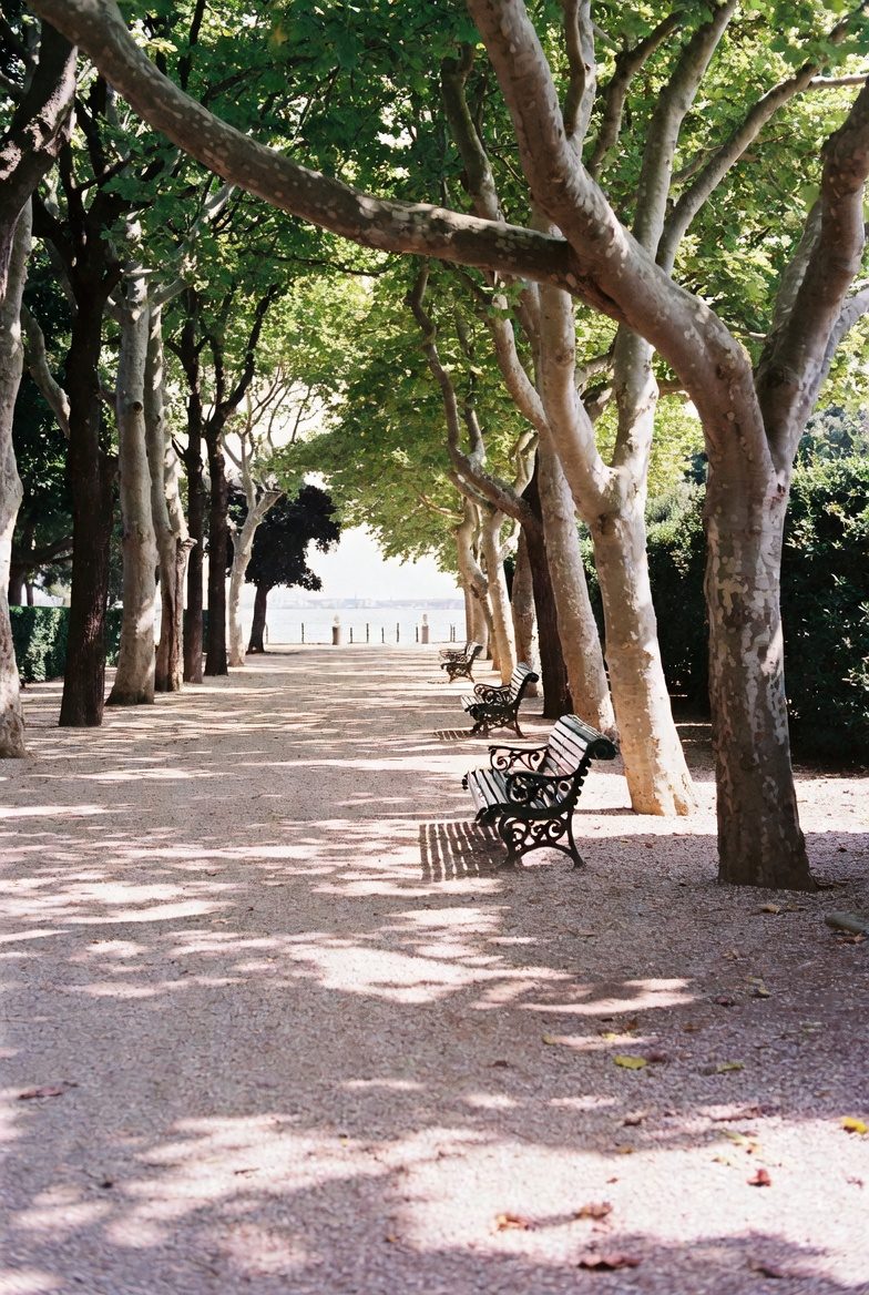Giardini della Biennale, Venice
